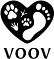 VOOV logotyp i svart